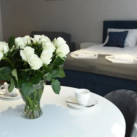 Pearl Apartments-Kossak Residence Apartamenty W Centrum Krakowa-2